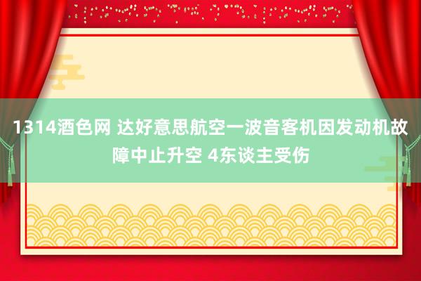 1314酒色网 达好意思航空一波音客机因发动机故障中止升空 4东谈主受伤