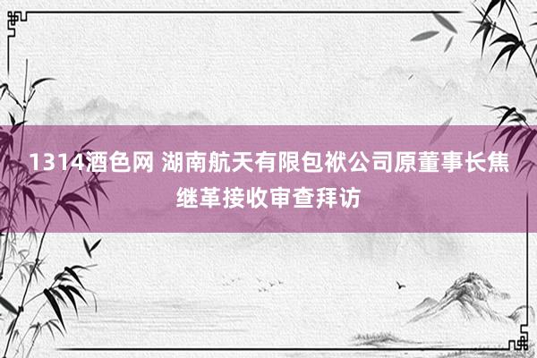 1314酒色网 湖南航天有限包袱公司原董事长焦继革接收审查拜访