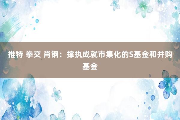 推特 拳交 肖钢：撑执成就市集化的S基金和并购基金