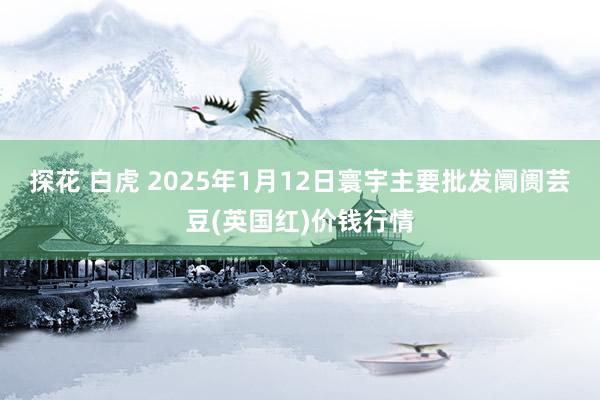 探花 白虎 2025年1月12日寰宇主要批发阛阓芸豆(英国红)价钱行情