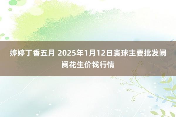 婷婷丁香五月 2025年1月12日寰球主要批发阛阓花生价钱行情