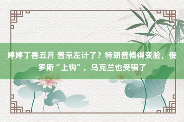 婷婷丁香五月 普京左计了？特朗普倏得变脸，俄罗斯“上钩”，乌克兰也受骗了