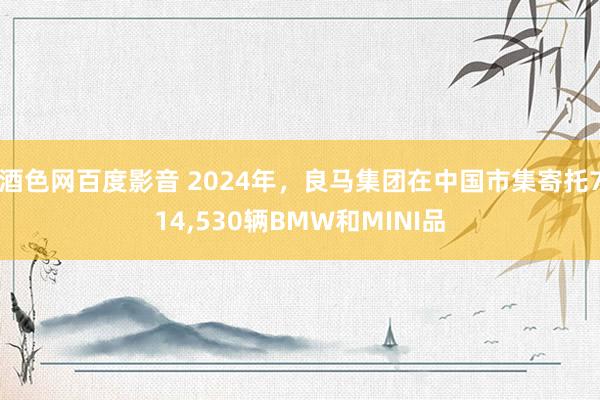 酒色网百度影音 2024年，良马集团在中国市集寄托714,530辆BMW和MINI品