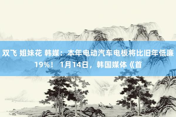 双飞 姐妹花 韩媒：本年电动汽车电板将比旧年低廉19%！ 1月14日，韩国媒体《首