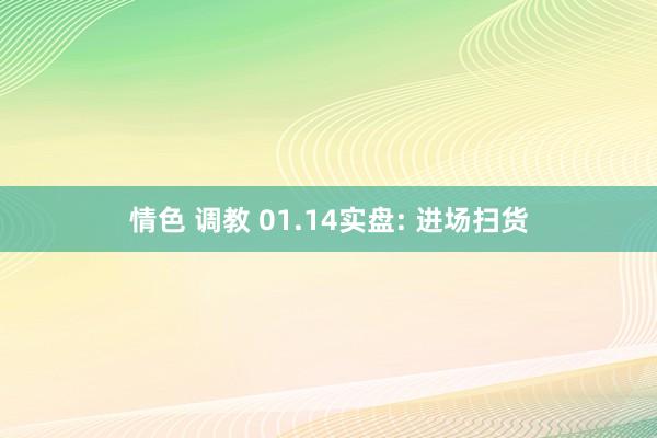 情色 调教 01.14实盘: 进场扫货