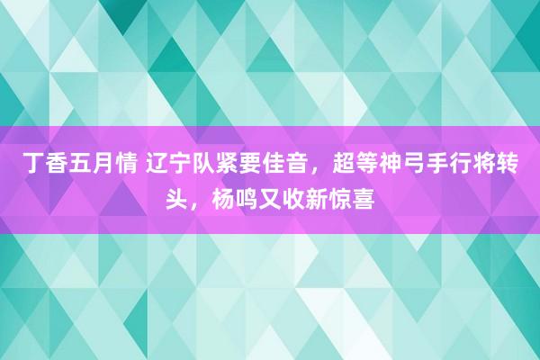 丁香五月情 辽宁队紧要佳音，超等神弓手行将转头，杨鸣又收新惊喜