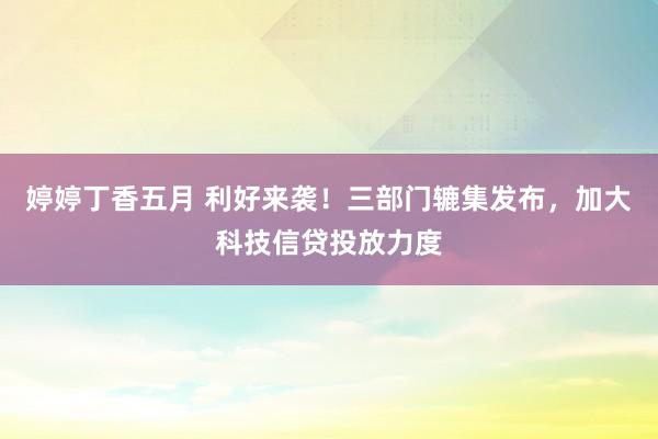 婷婷丁香五月 利好来袭！三部门辘集发布，加大科技信贷投放力度